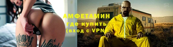 шишки Алзамай